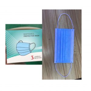 3 Ply Mask